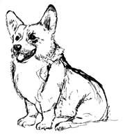 Coloring pages ideas coloring pages corgi art corgi