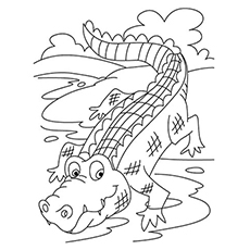 Top free printable crocodile coloring pages online