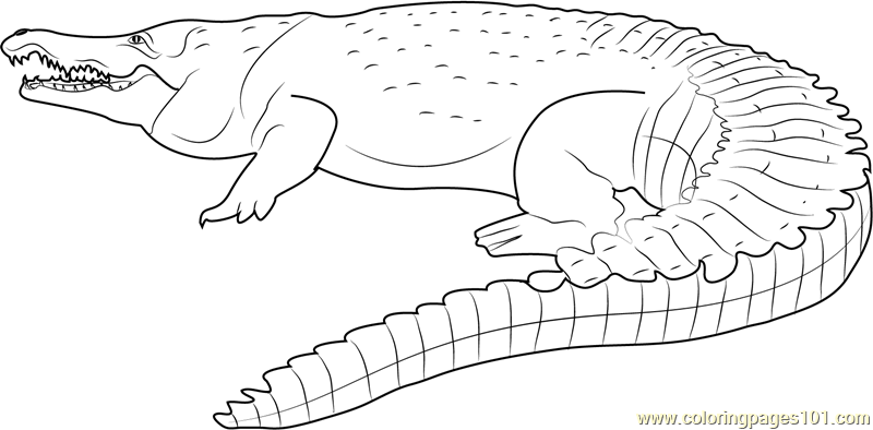Orinoco crocodile coloring page for kids