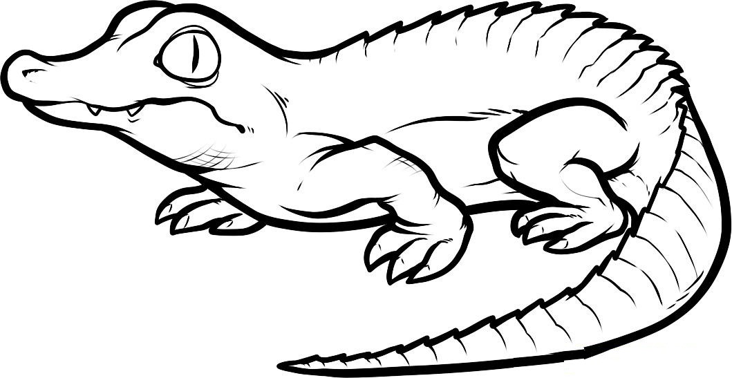 Free printable crocodile coloring pages for kids