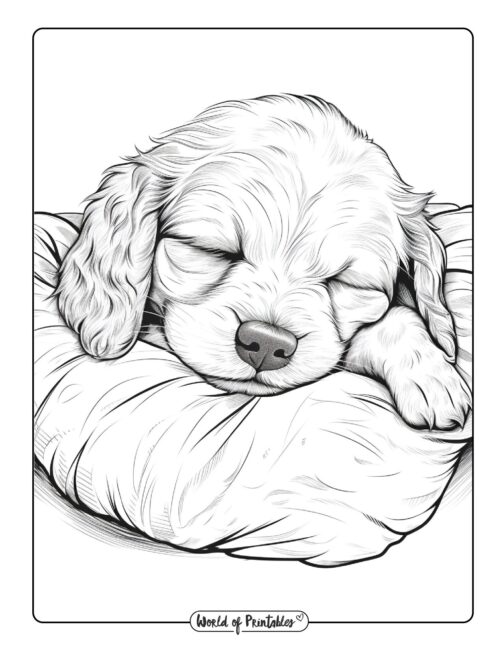 Dog coloring pages for kids adults