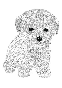 Bichon frise puppy hand drawn dog sketch for anti
