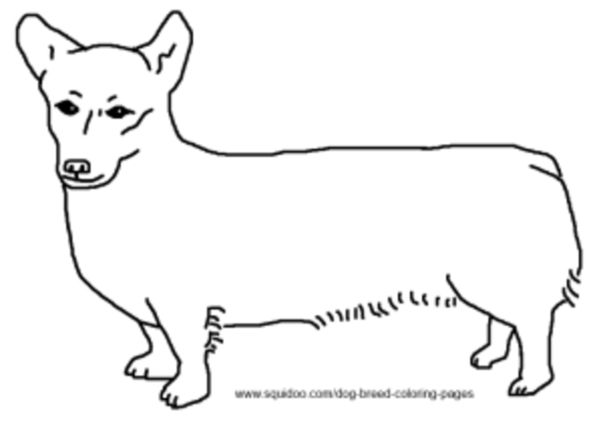 Dog breed coloring pages