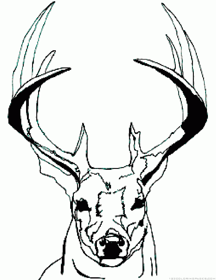 Deer coloring pages