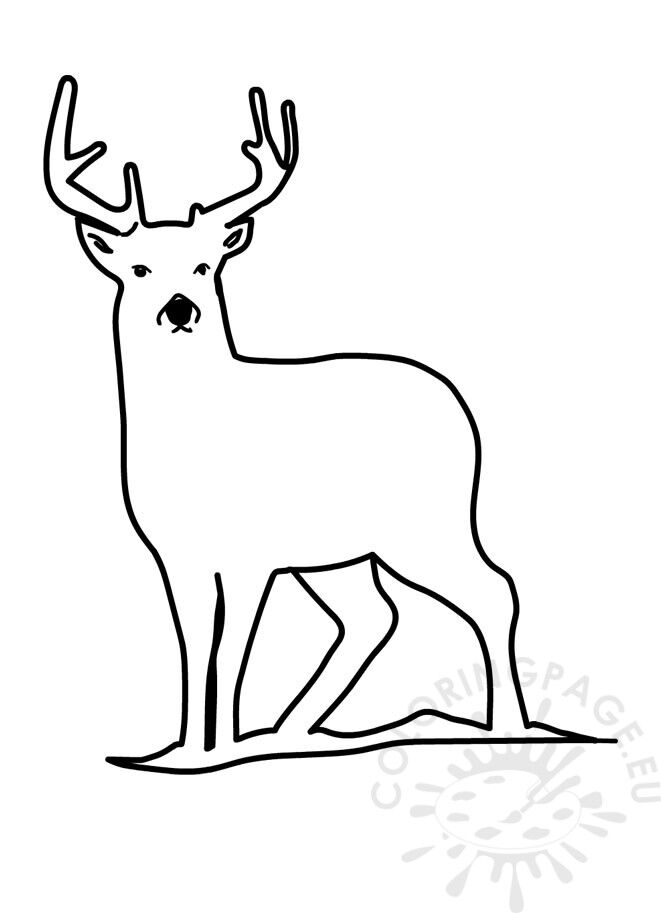 Realistic deer coloring page