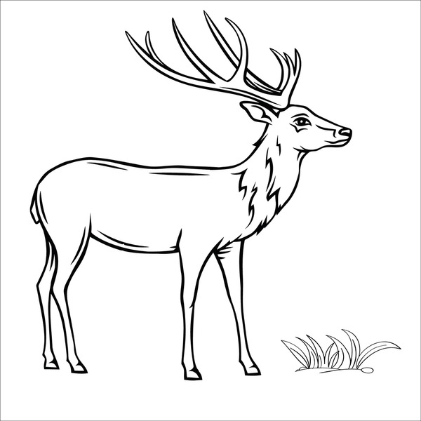 Deer sketch color royalty