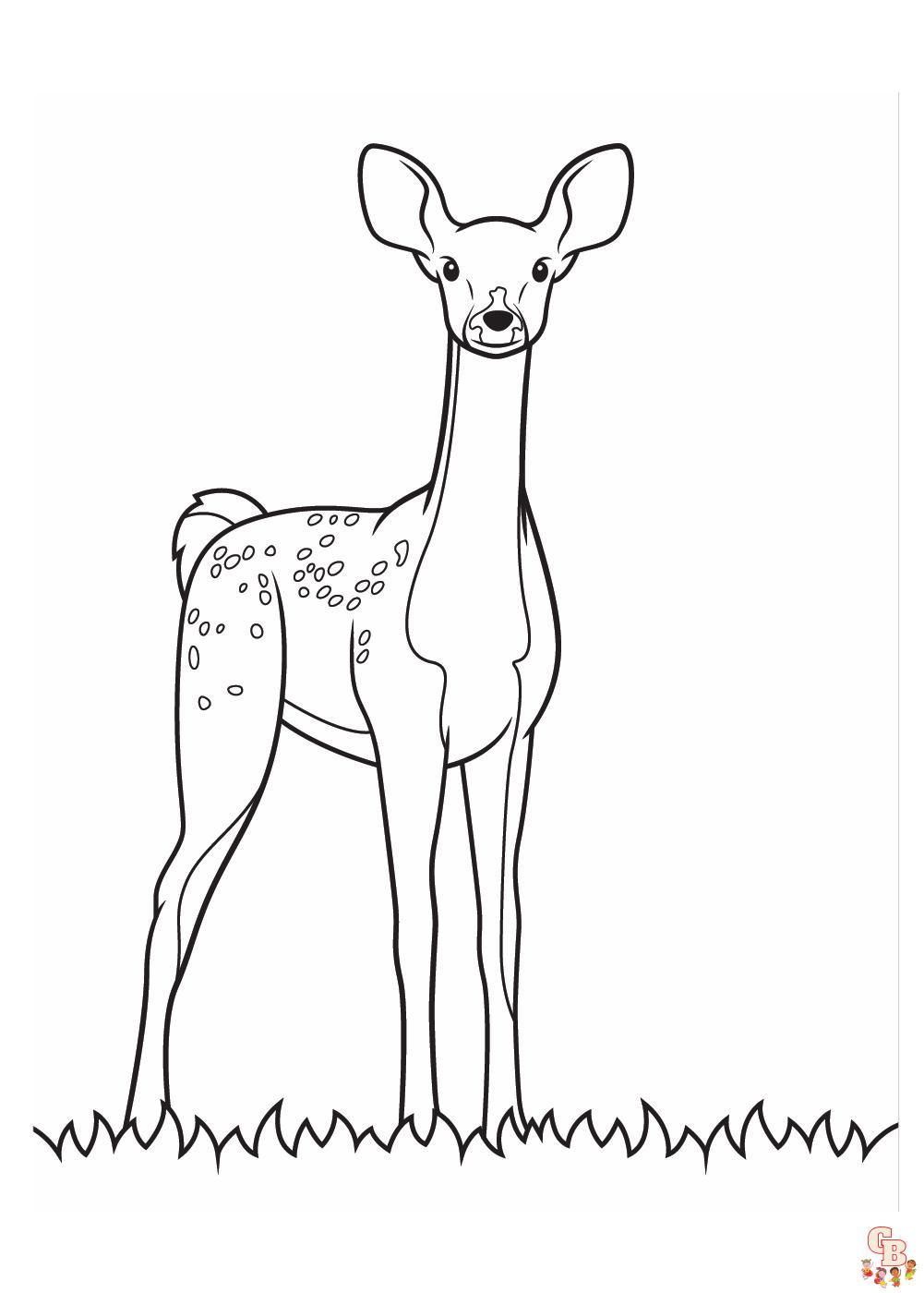Realistic animal coloring pages
