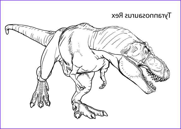 Beautiful realistic dinosaur coloring pages image dinosaur coloring pages skull coloring pages animal coloring pages