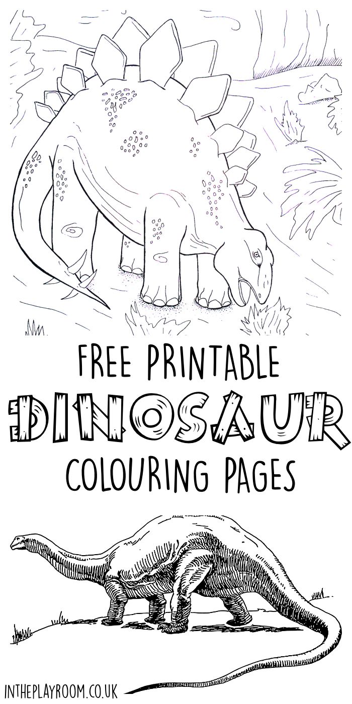 Dinosaur louring pages for kids