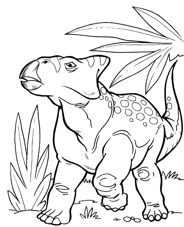 Realistic dinosaur coloring page protoceratops