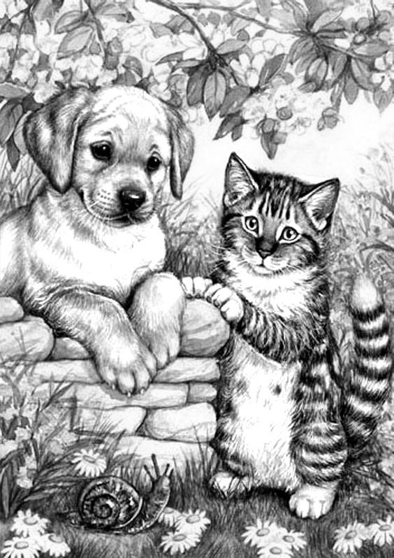 Lab and kitten grayscale coloring horse coloring pages cute drawings