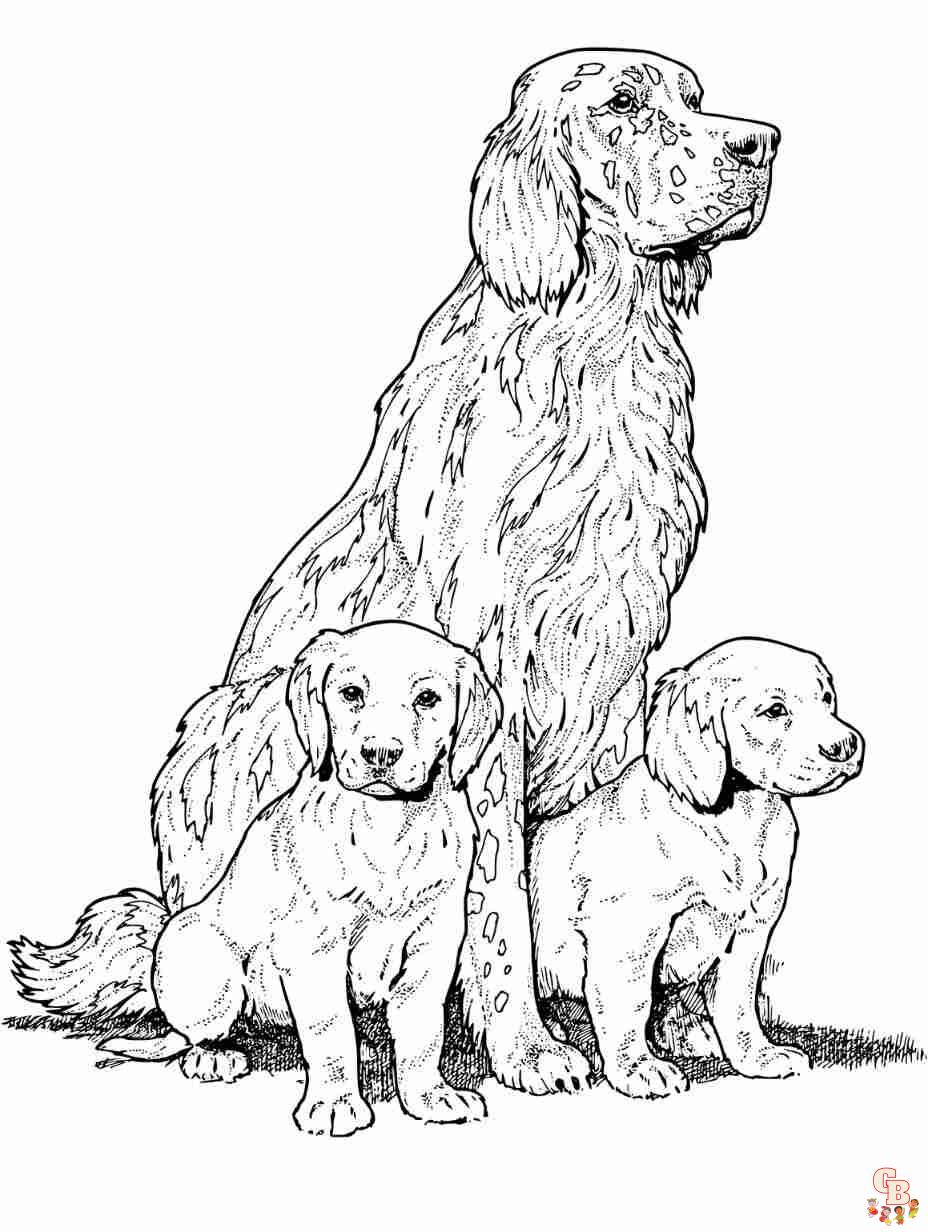 Dogs coloring pages to print