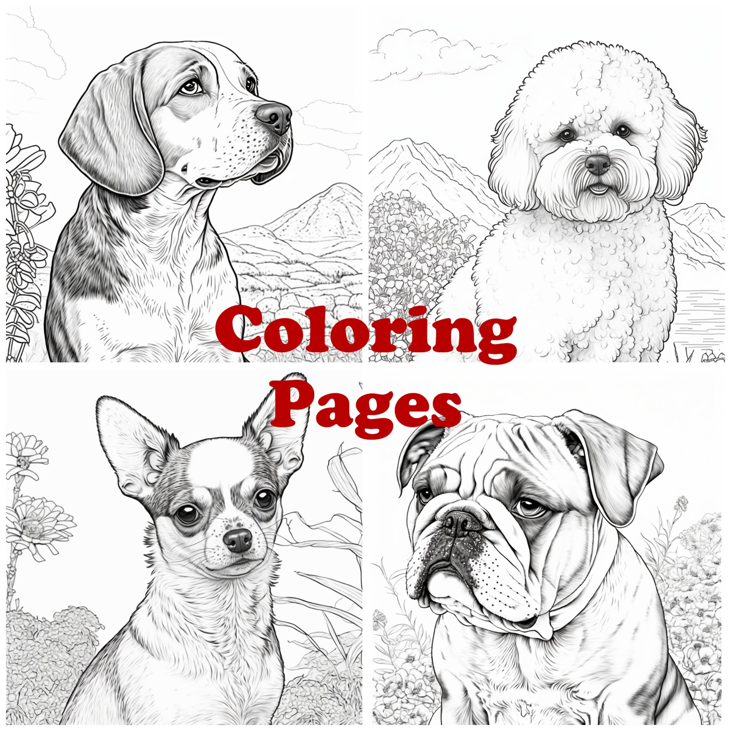 Dog coloring pages dog coloring sheets puppy coloring book dog art digital download jpg animal coloring pet coloring