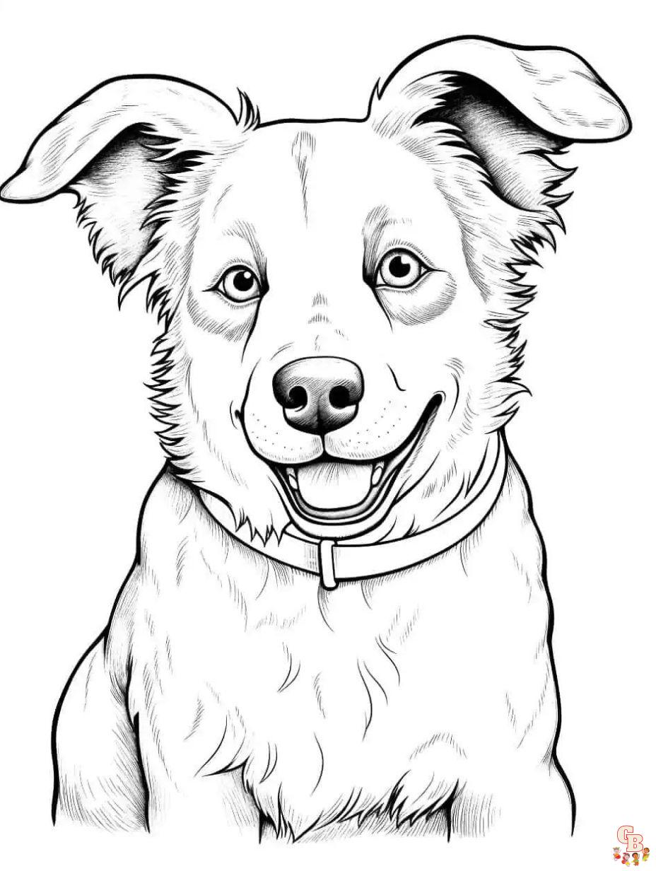 Dogs coloring pages to print