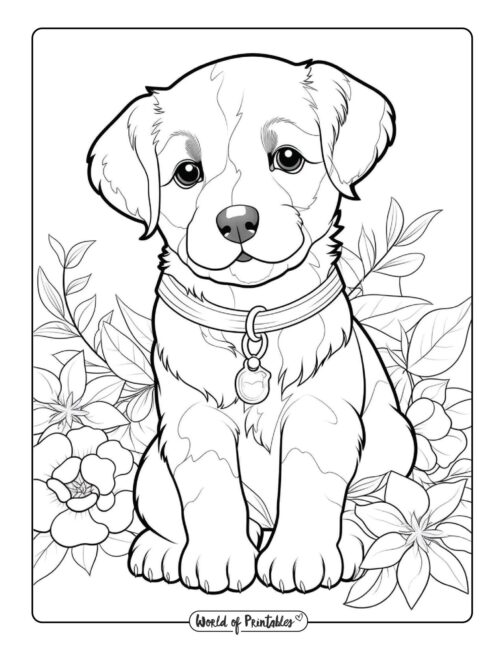 Dog coloring pages for kids adults