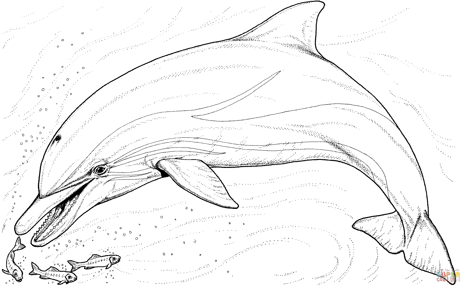 Dolphin and several little fish coloring page free printable coloring pages