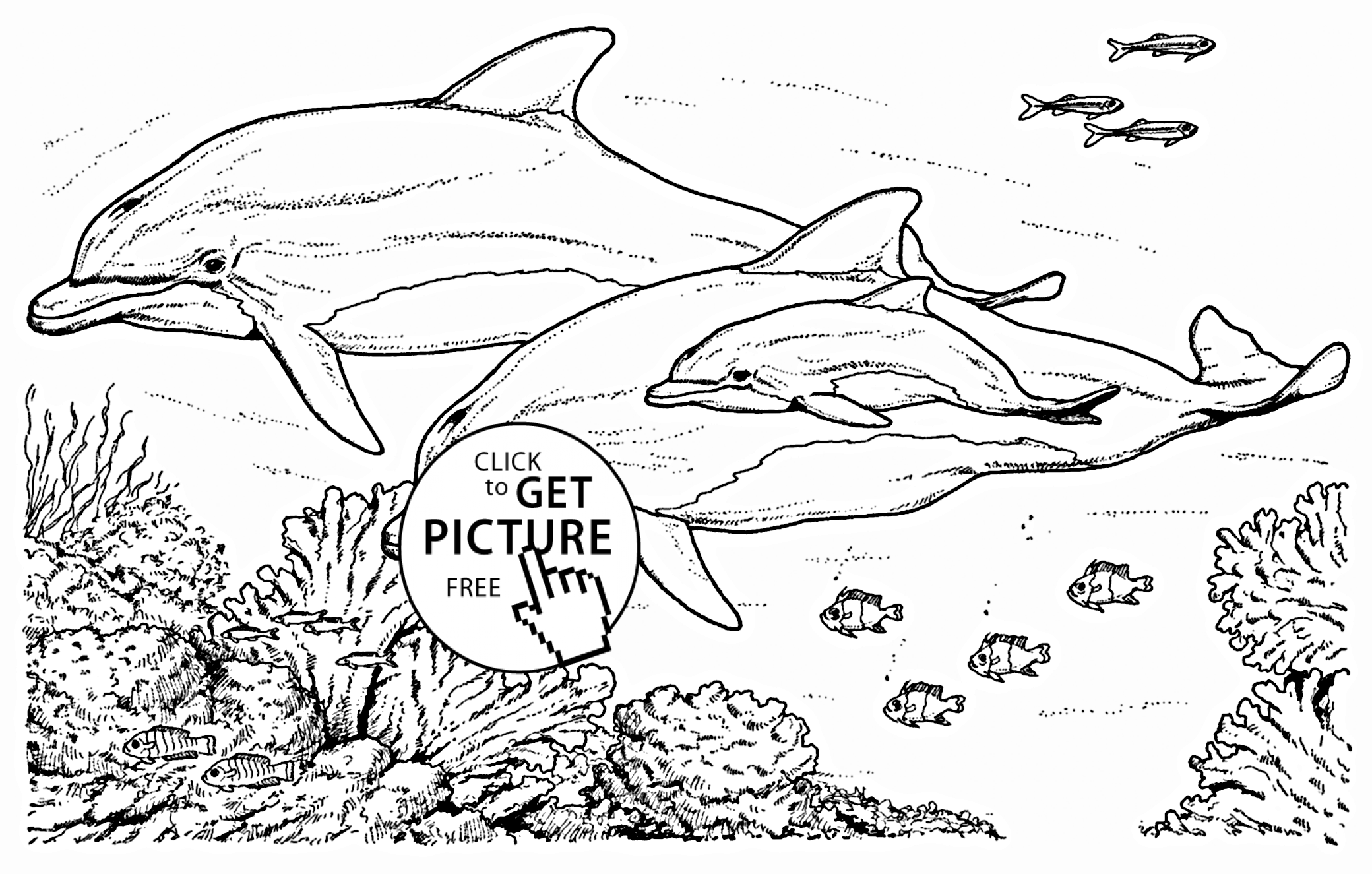 Realistic dolphins coloring page for kids animal coloring pages printables free