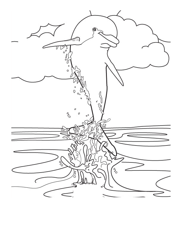 Free printable dolphin coloring pages for kids