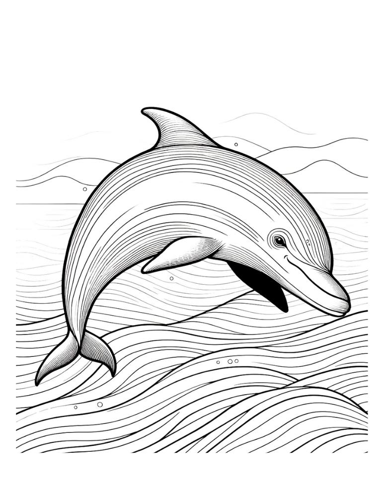Free dolphin coloring pages for kids