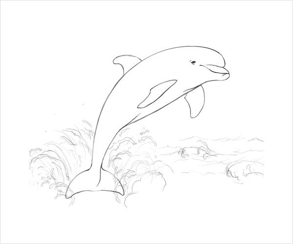 Free dolphin coloring pages in ai