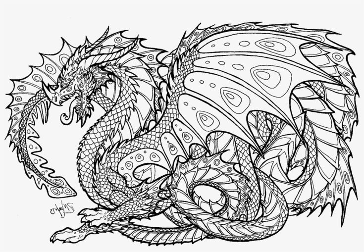 Download realistic dragon coloring pages for adults