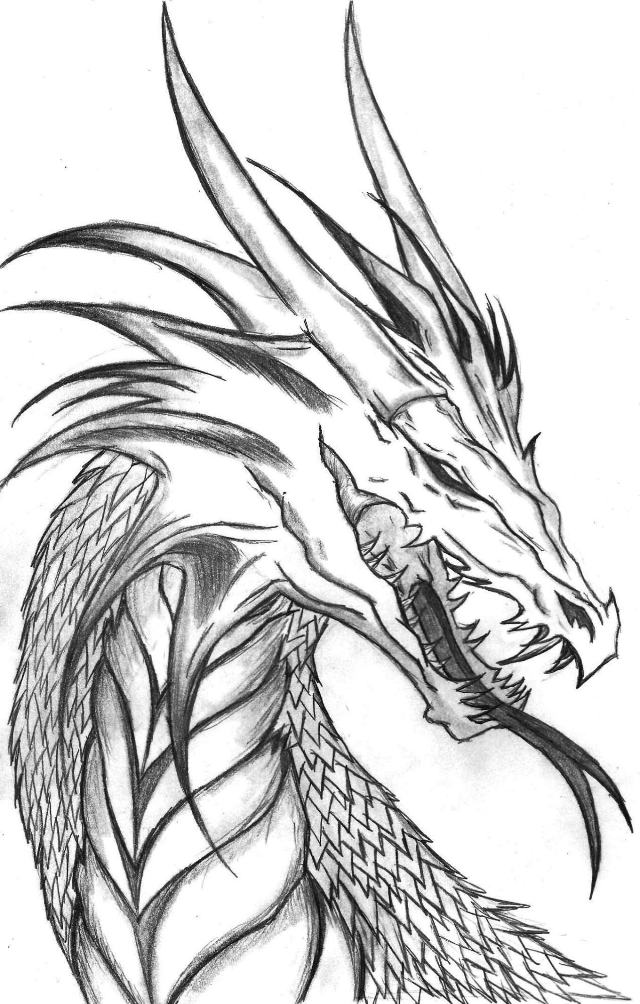 Diy sketching dragon coloring page realistic dragon cool dragon drawings
