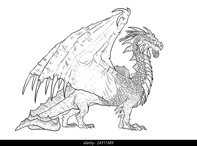 Dragon coloring page outline illustration dragon drawing coloring sheet stock photo