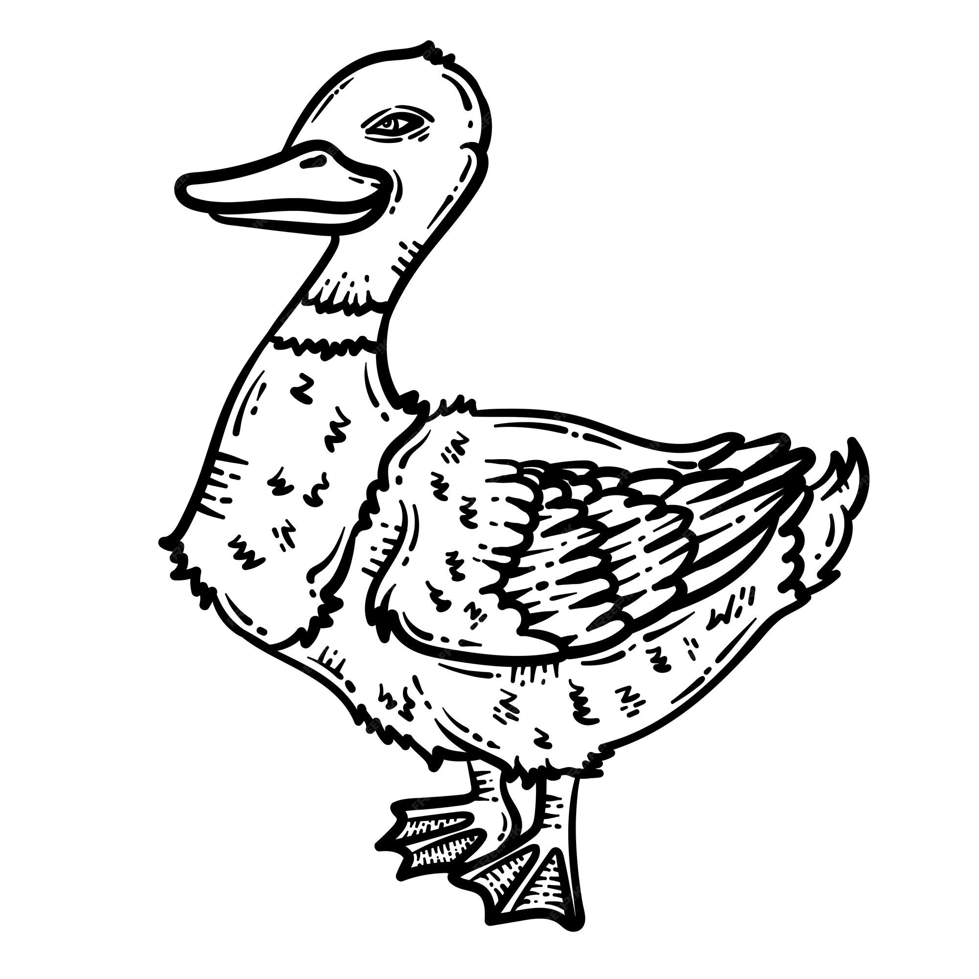 Premium vector duck animal coloring page for adult