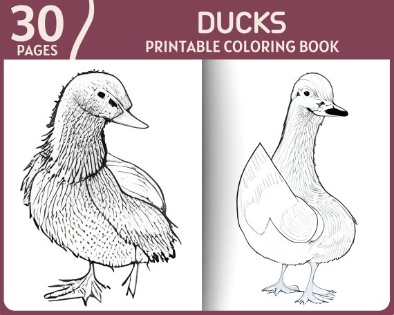 Ducks coloring pages realistic duck grayscale