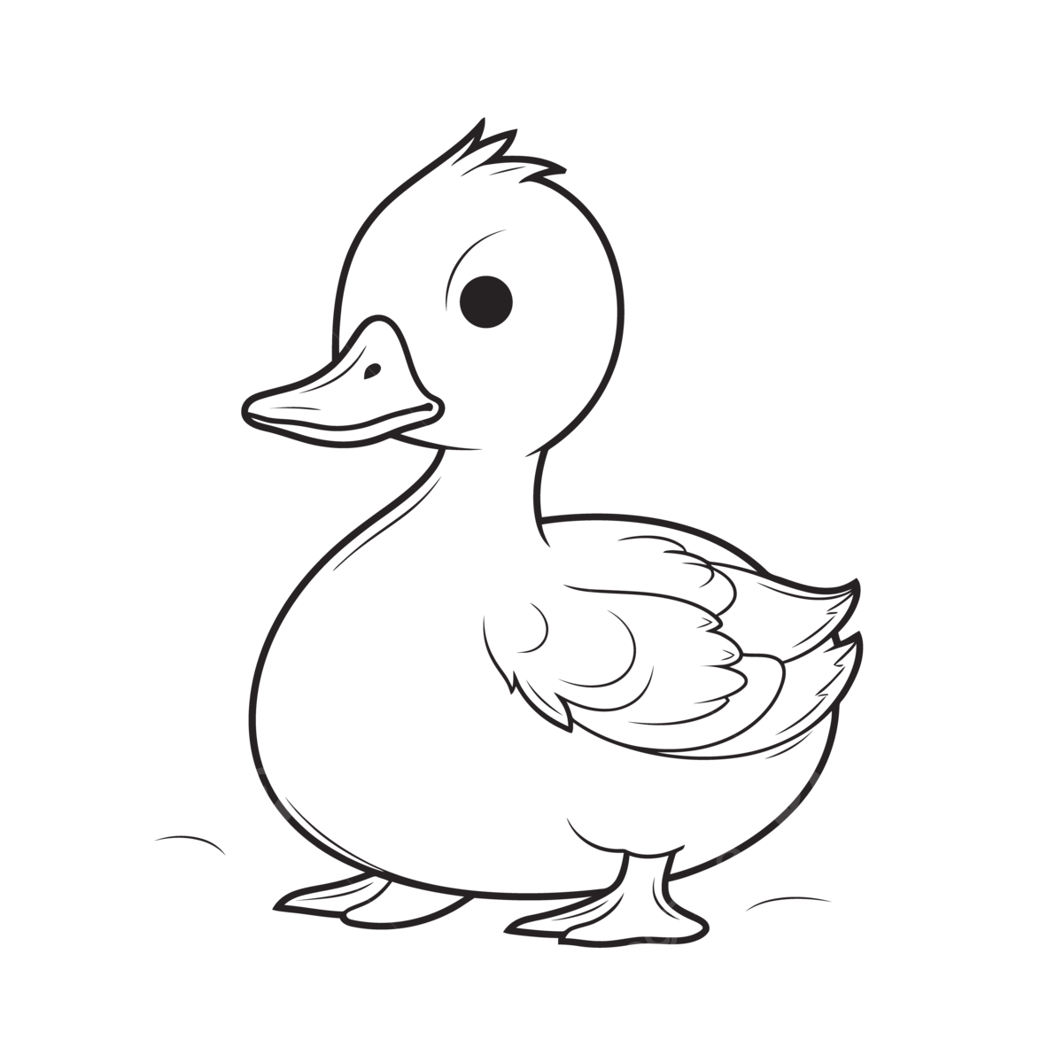 Duck coloring pages ducks for coloring pages outline sketch drawing vector duck drawing wing drawing ducks drawing png and vector with transparent background for free download