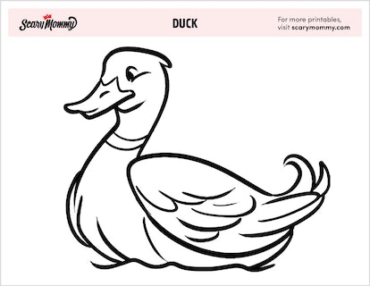 Looking for fun these duck coloring pages fit the bill