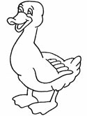 Duck pages