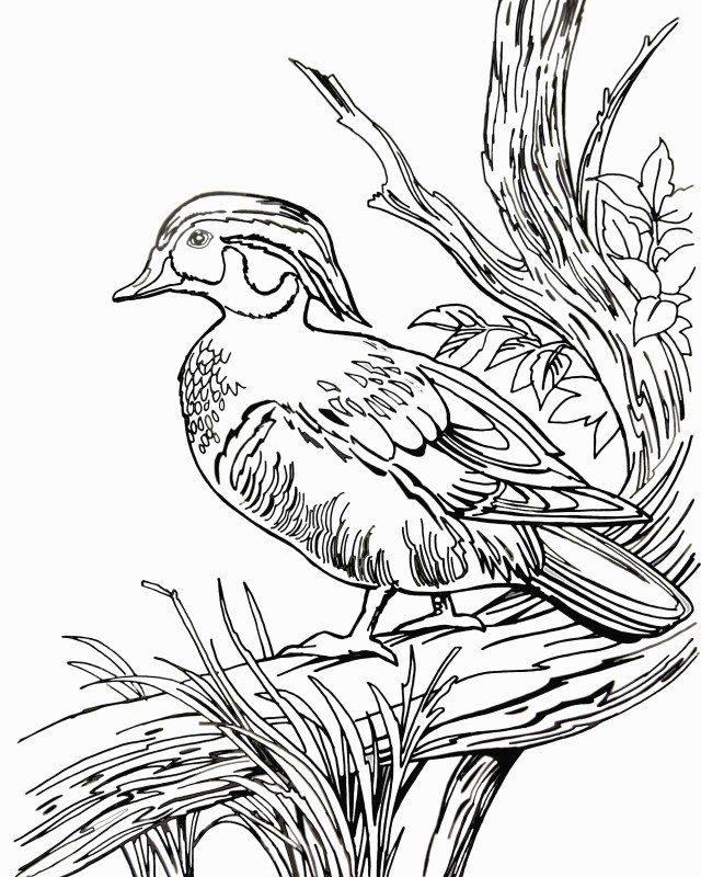 Awesome image of hunting coloring pages