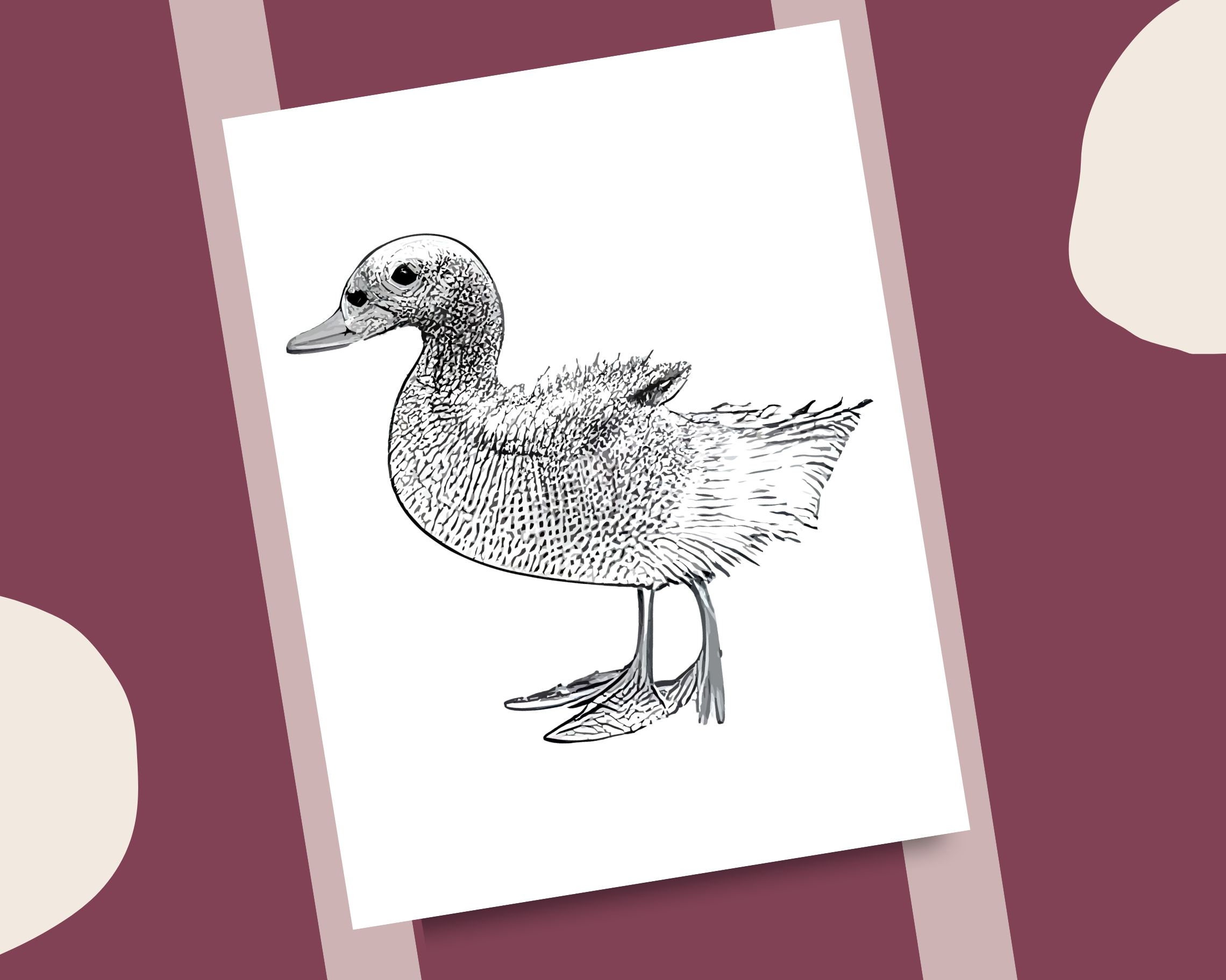 Ducks coloring pages realistic duck grayscale illustrations coloring book printable coloring page