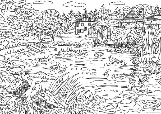 Ducks â favoreads coloring club