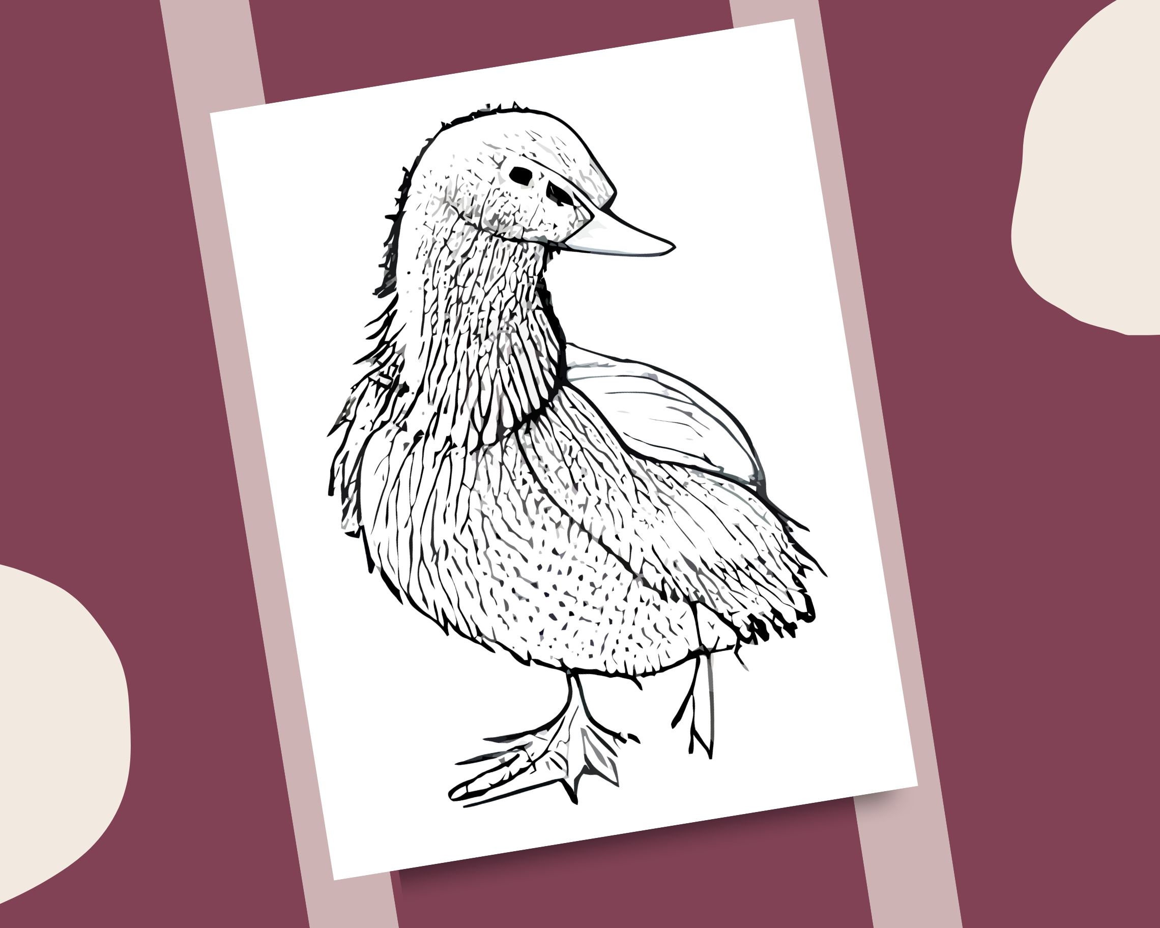 Ducks coloring pages realistic duck grayscale illustrations coloring book printable coloring page