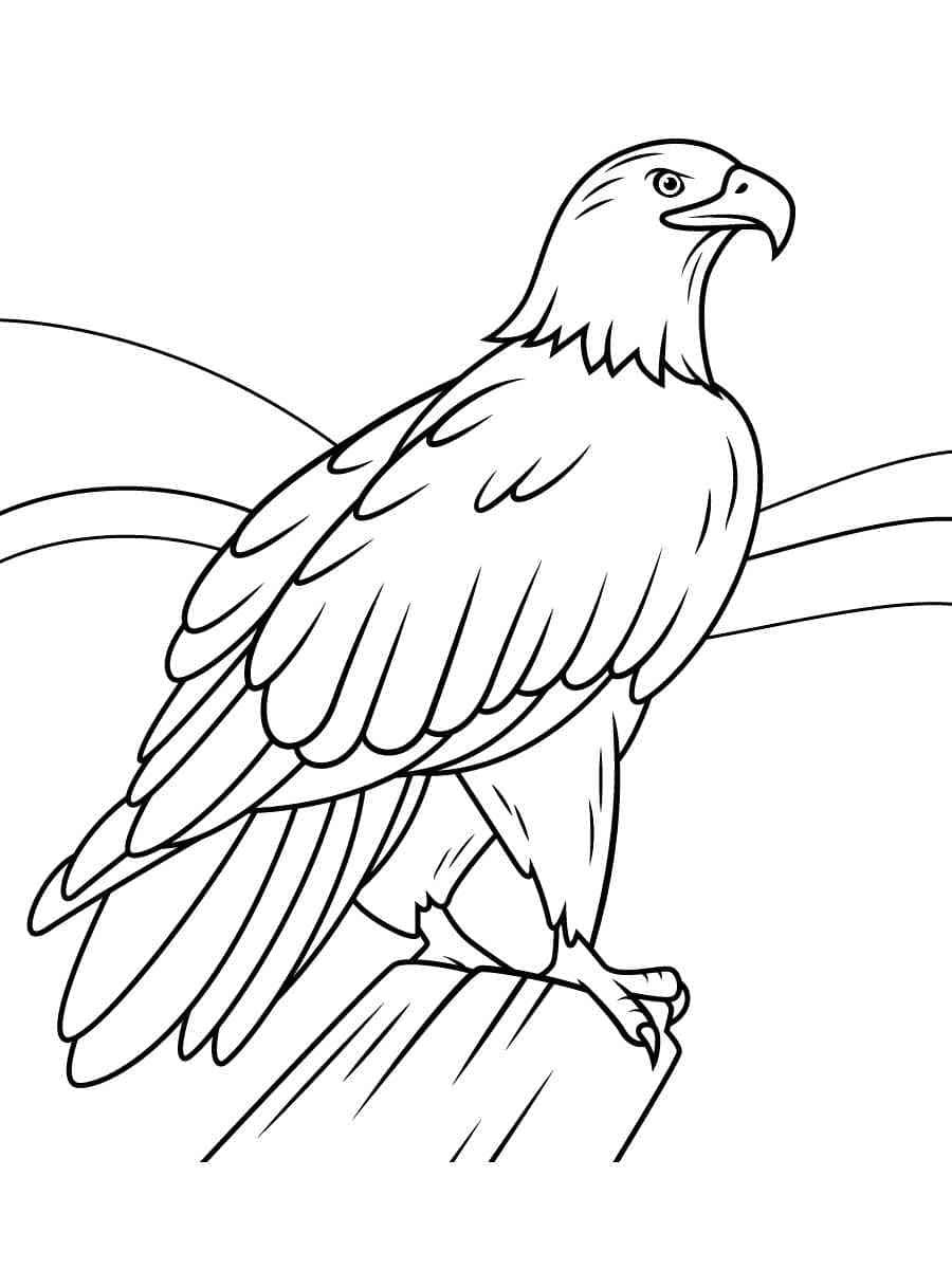 Bald eagle coloring pages printable for free download