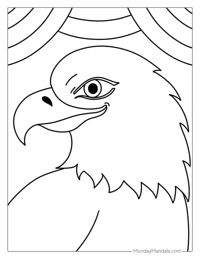 Bald eagle coloring pages free pdf printables