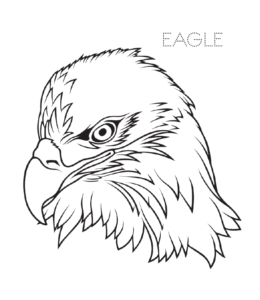 Eagle coloring pages playing learning