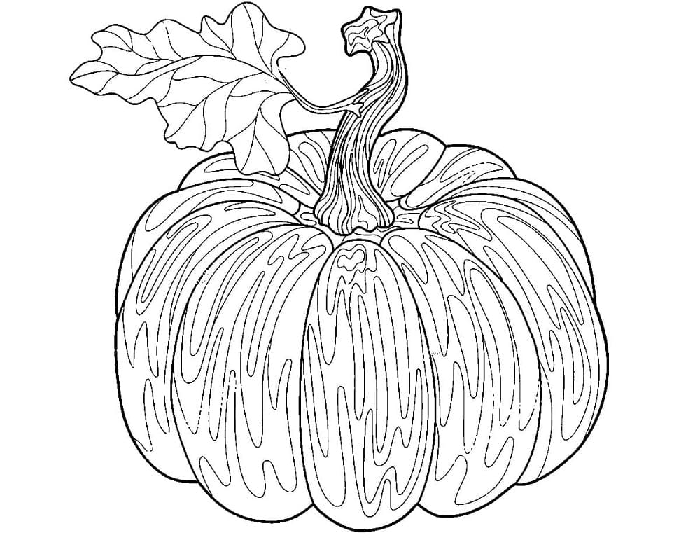 Pumpkin coloring pages