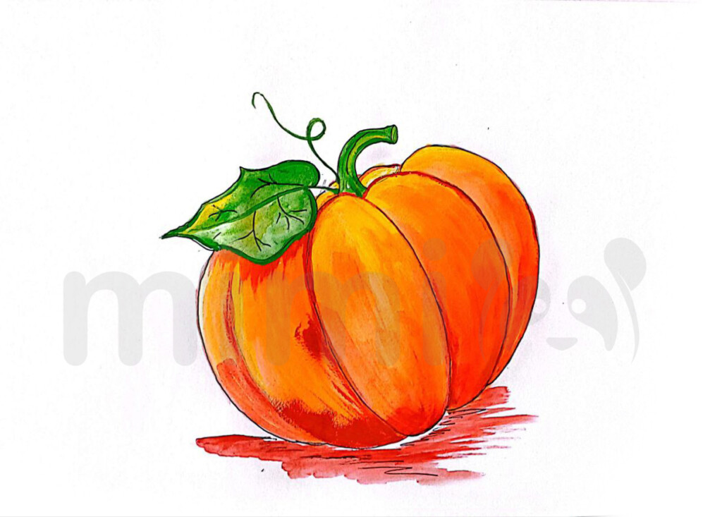 Pumpkin drawing step