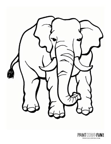 Realistic elephant coloring pages to print at