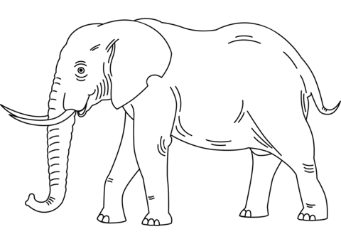 Elephant coloring page free printable coloring pages