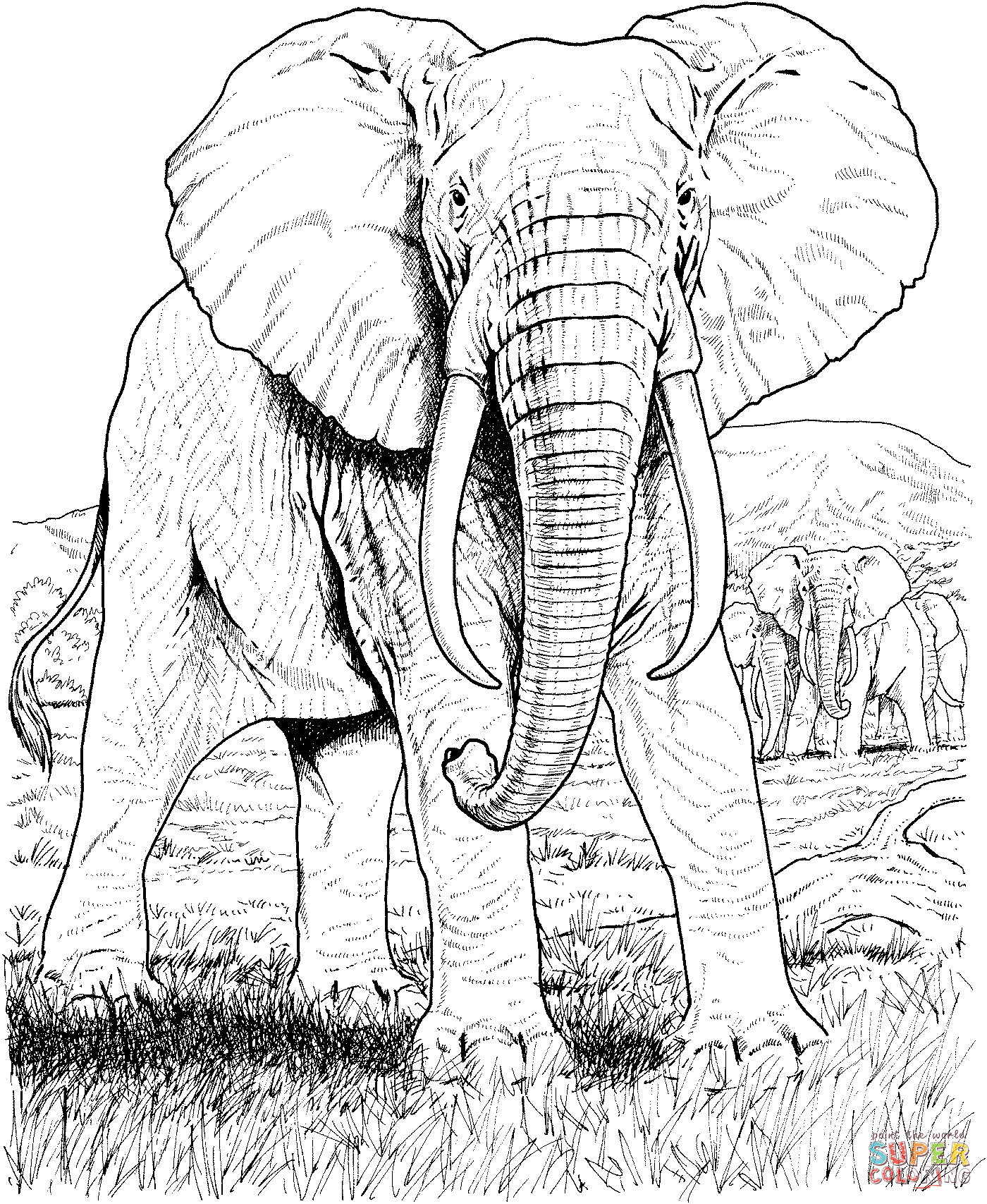 African elephant coloring page free printable coloring pages