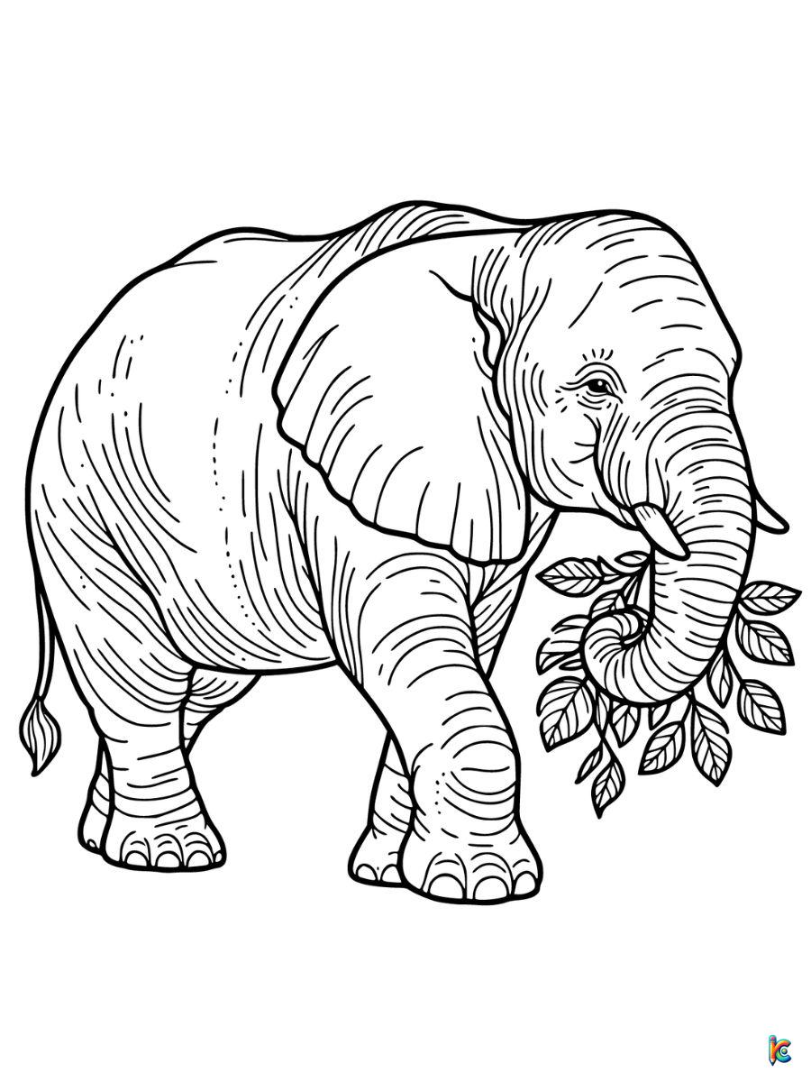 Elephant coloring pages â