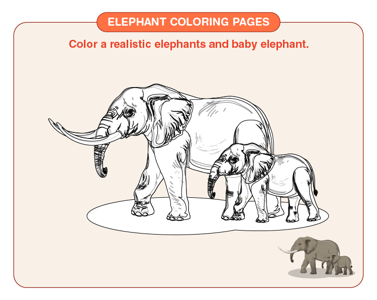 Elephant coloring pages download free printables for kids