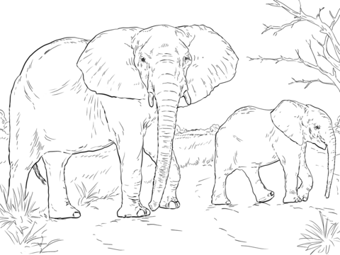 African elephant mother and baby coloring page free printable coloring pages