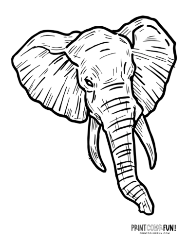Realistic elephant coloring pages to print at