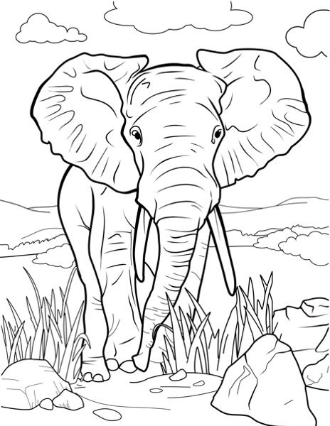 Elephant coloring page for kids elephant coloring page basic art techniques elephant drawing
