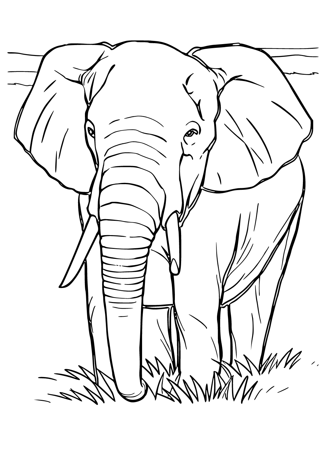 Free printable elephant real coloring page for adults and kids